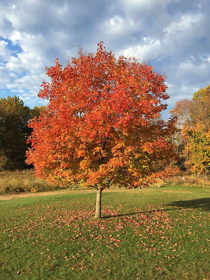 October 22, 2015-Merrill Creek