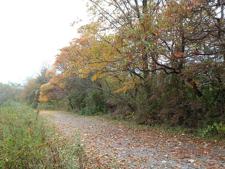 Welcome to the Merrill Creek Environmental Preserve