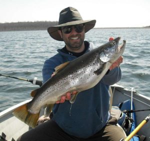 Brown Trout -Merrill Creek Reservoir