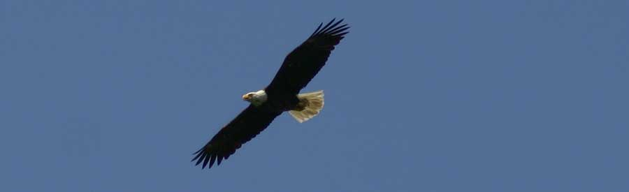 Educational Opportunities for All Ages - Merrill Creek Reservoir