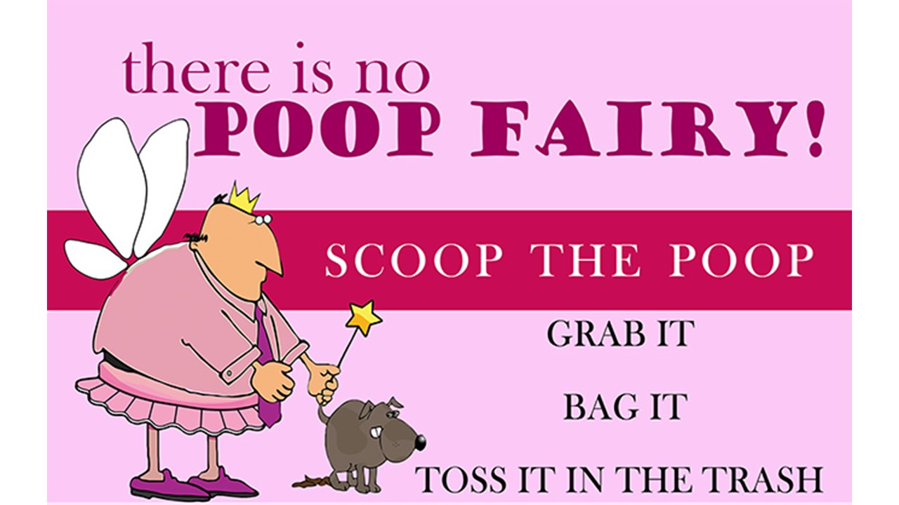 Get The Scoop On Poop - Pet Waste And How It Can Negatively Impact The 