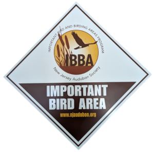 NJA IBA logo