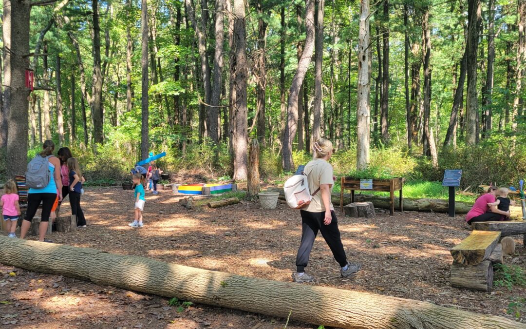 Summer Fun at MCR with the Sensory Trail and Tree Finder Game!