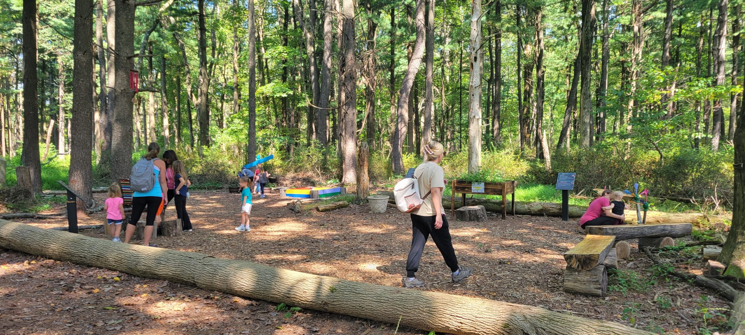 Summer Fun at MCR with the Sensory Trail and Tree Finder Game!