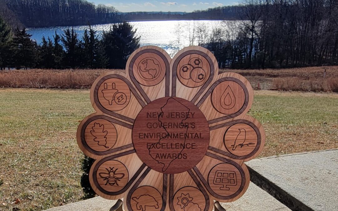 Merrill Creek Reservoir Wins 2024 NJ Governor’s Environmental Excellence Award in Healthy Ecosystems & Habitat Category