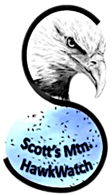 scotts mountain hawk watch logo